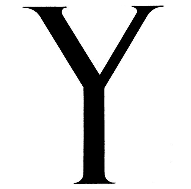 The Letter Y